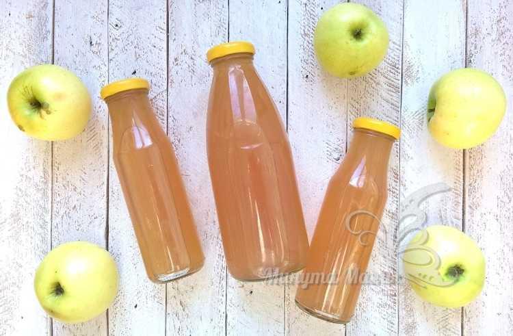 Как сделать яблочный сок в домашних условиях на зиму через соковыжималку без варки – рецепт с фото пошагово