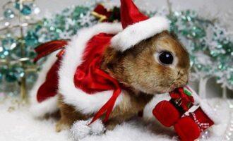 как украсить дом на год кролика